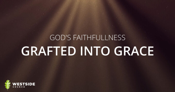 Grafted Into Grace – God’s Faithfulness